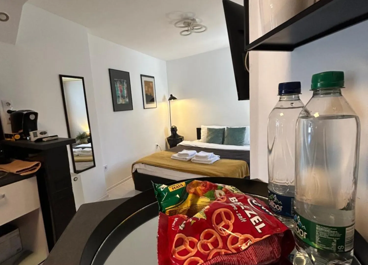 Matt Studio Apartment Bucharest Romania